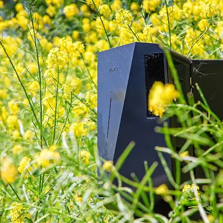 On Texel Near Wadden Sea & Bird Area